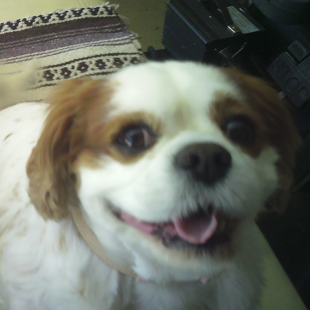 Meet your Posher, Ethel